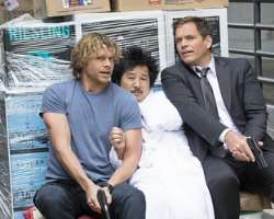 The actor played small roles in television series like Another Period, Real Rob, and NCIS: Los Angeles.